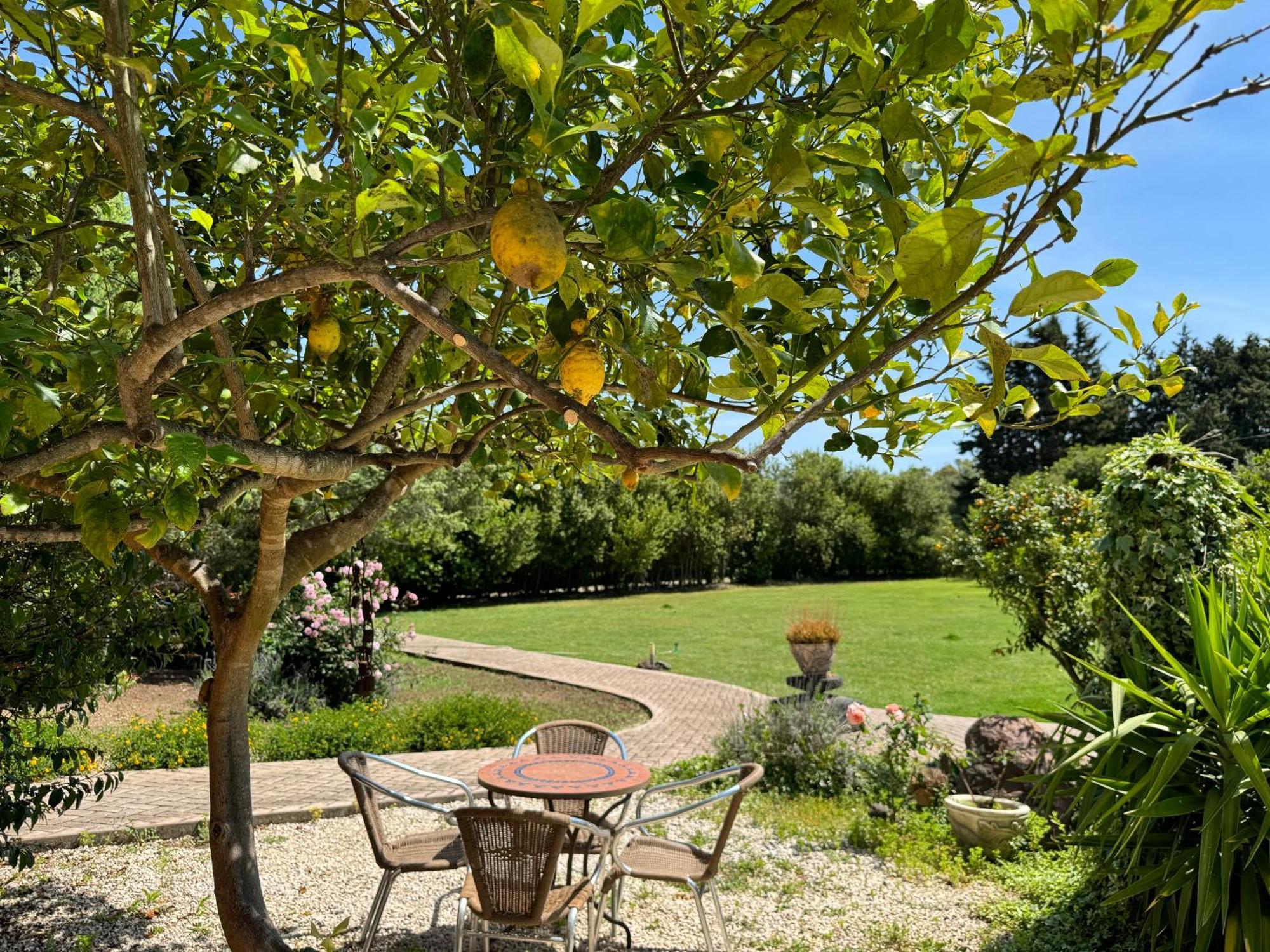 L'Orto Villa San Vero Milis Exterior photo